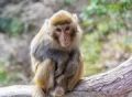 2025年2月7日 (五) 02:05版本的缩略图